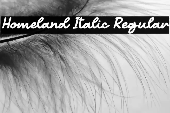 Homeland Italic Regular फ़ॉन्ट examples