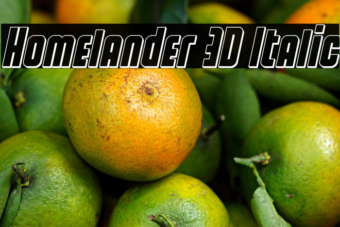 Homelander 3D Italic Example 2