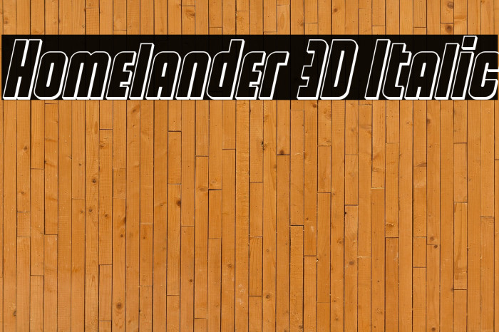 Homelander 3D Italic Example 3