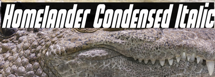 Homelander Condensed Italic Example 1