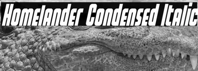 Homelander Condensed Italic Font examples