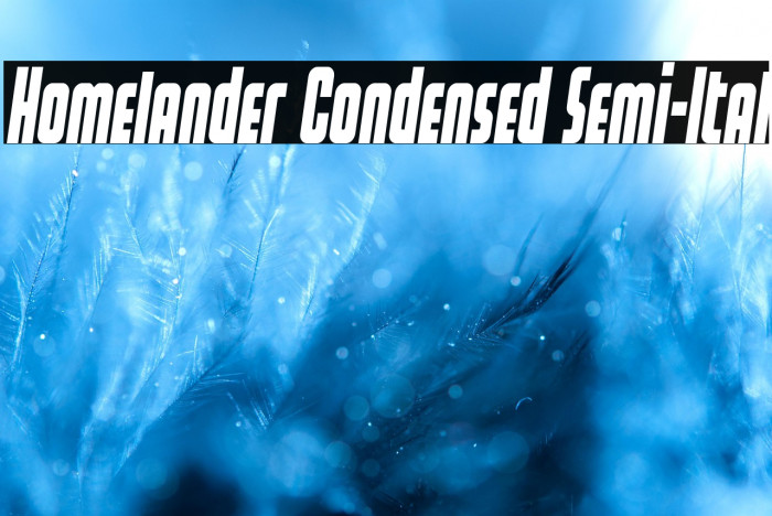 Homelander Condensed Semi-Ital Example 1