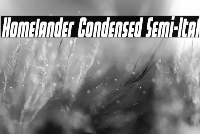 Homelander Condensed Semi-Ital Font examples