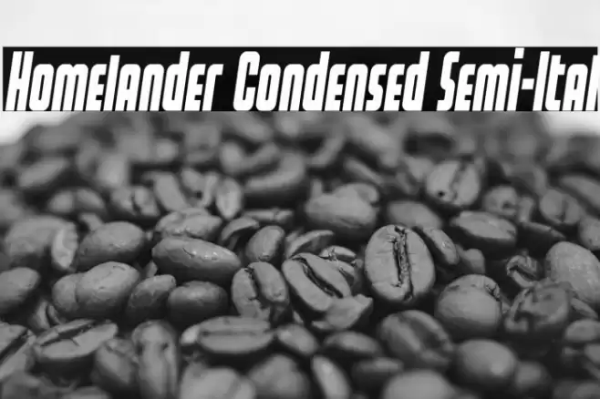 Homelander Condensed Semi-Ital Font examples