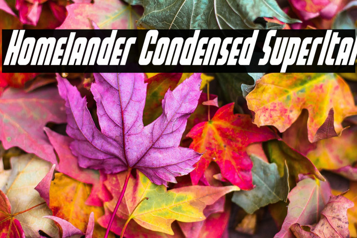 Homelander Condensed SuperItal Example 2