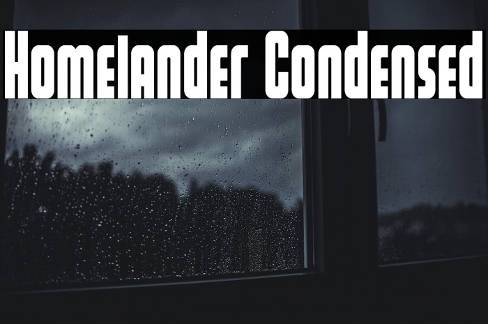 Homelander Condensed Example 2