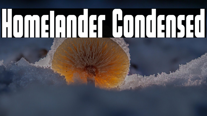 Homelander Condensed Example 3