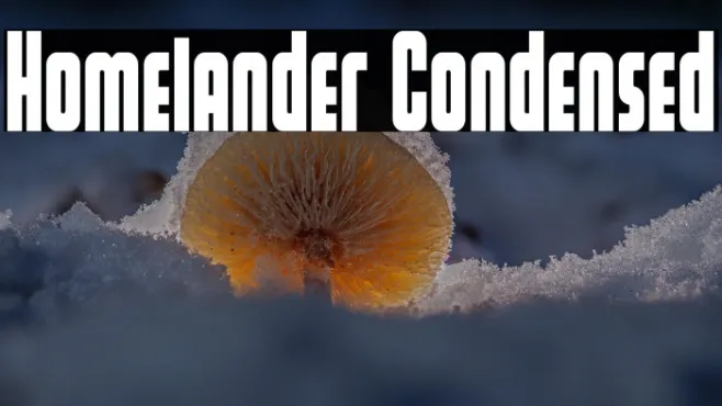 Homelander Condensed Example 3