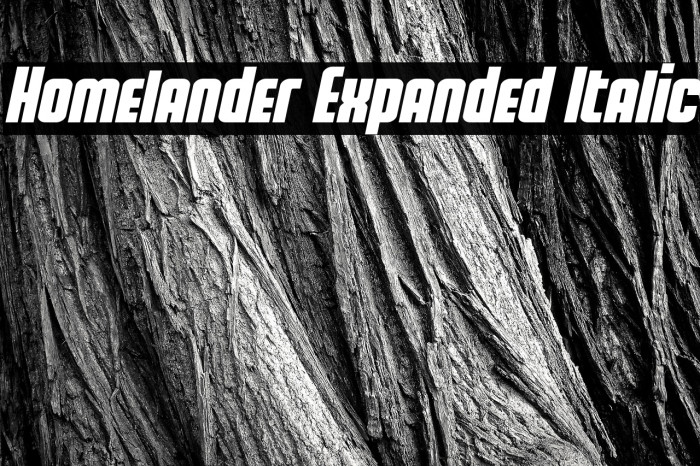 Homelander Expanded Italic Example 1