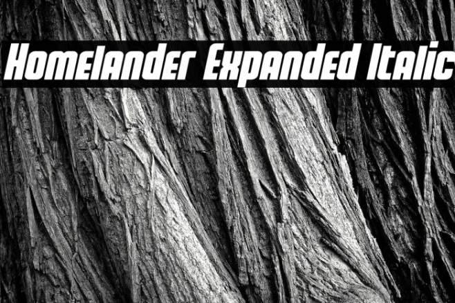 Homelander Expanded Italic Example 1