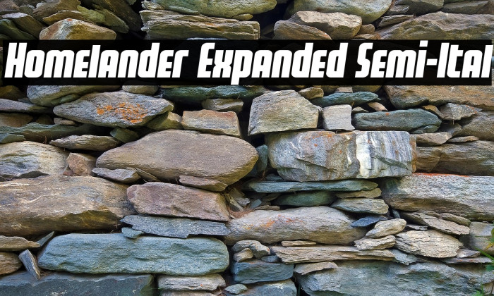 Homelander Expanded Semi-Ital Example 2