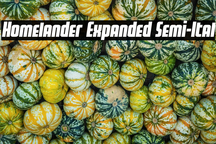 Homelander Expanded Semi-Ital Example 3