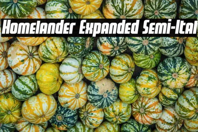Homelander Expanded Semi-Ital Example 3