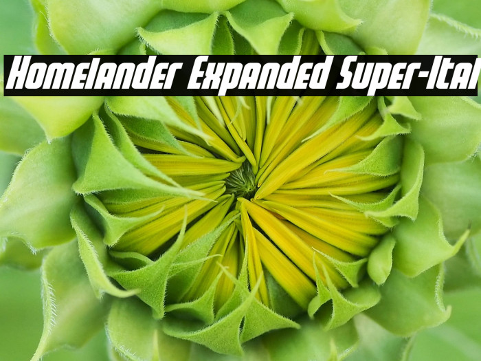 Homelander Expanded Super-Ital Example 1
