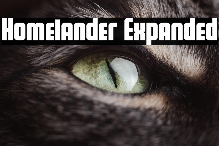 Homelander Expanded Example 1