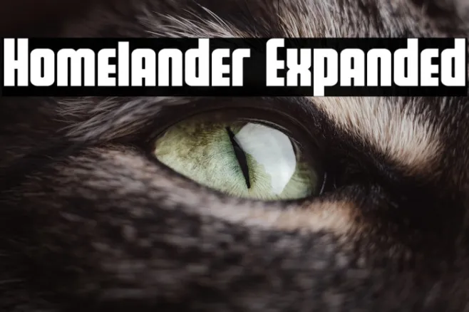 Homelander Expanded Example 1