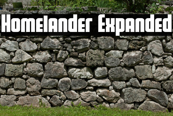 Homelander Expanded Example 2