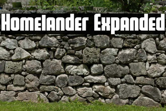 Homelander Expanded Example 2