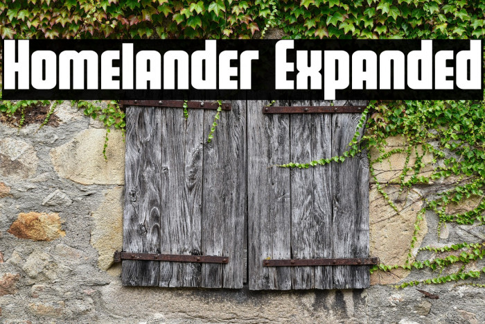 Homelander Expanded Example 3