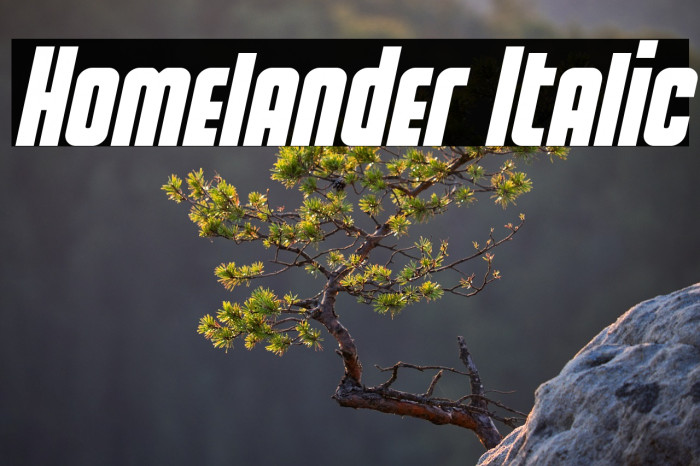 Homelander Italic Example 1