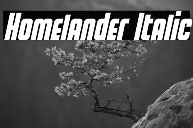 Homelander Italic Font examples