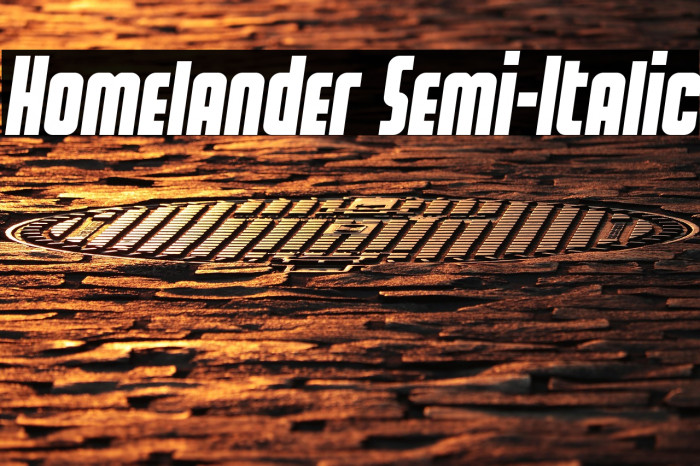 Homelander Semi-Italic Example 2