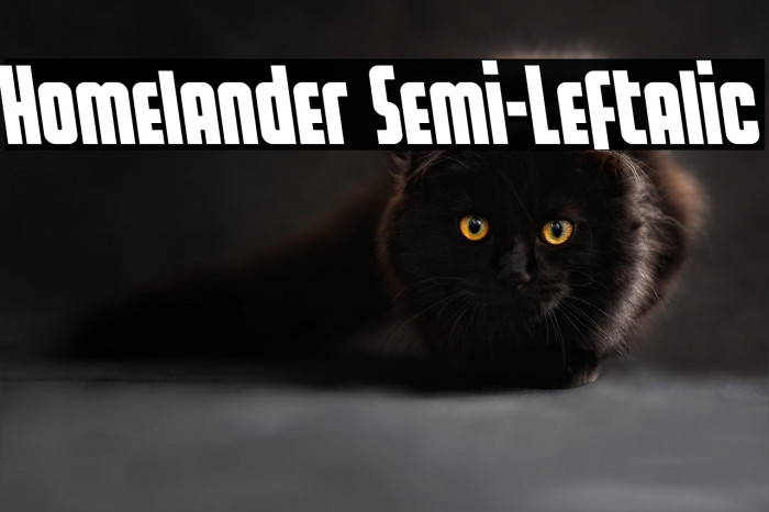 Homelander Semi-Leftalic Example 2