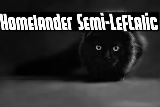 Homelander Semi-Leftalic Font examples