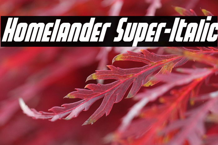 Homelander Super-Italic Example 3