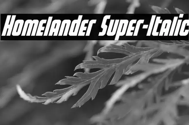 Homelander Super-Italic Font examples