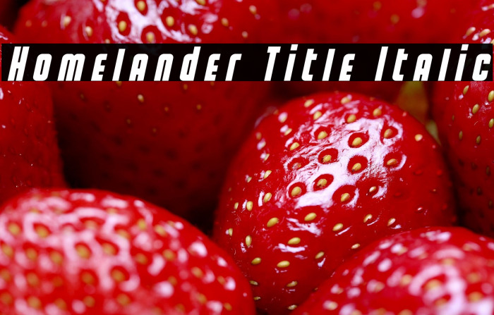 Homelander Title Italic Example 3
