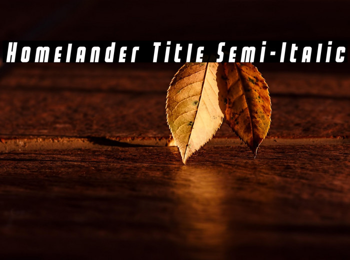 Homelander Title Semi-Italic Example 2
