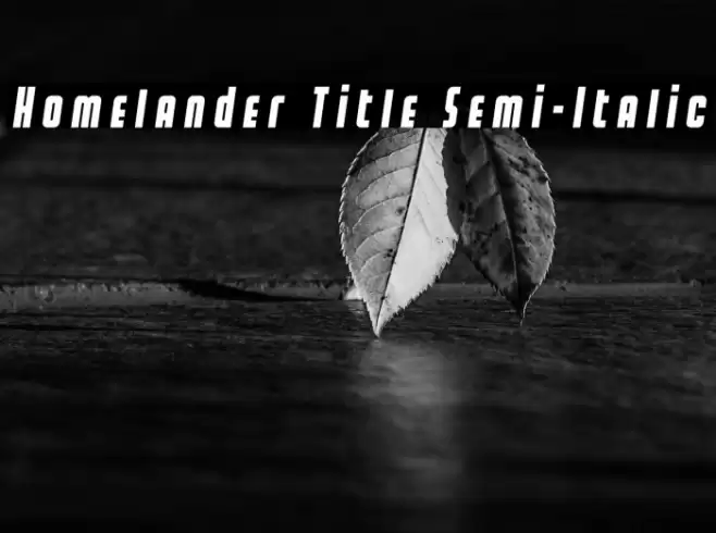 Homelander Title Semi-Italic Font examples