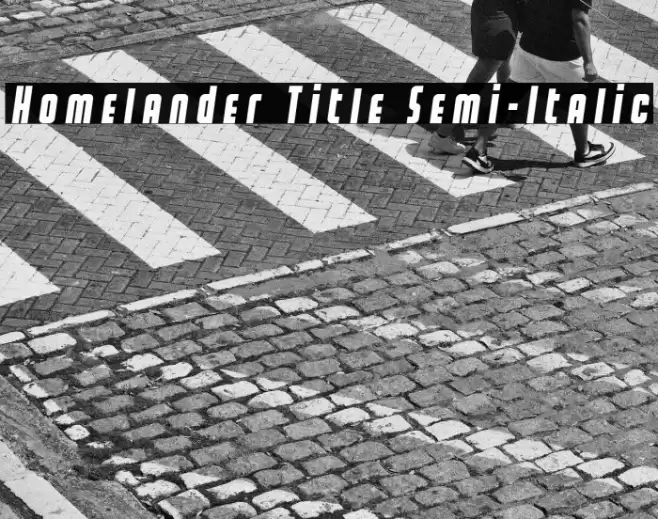 Homelander Title Semi-Italic Font examples