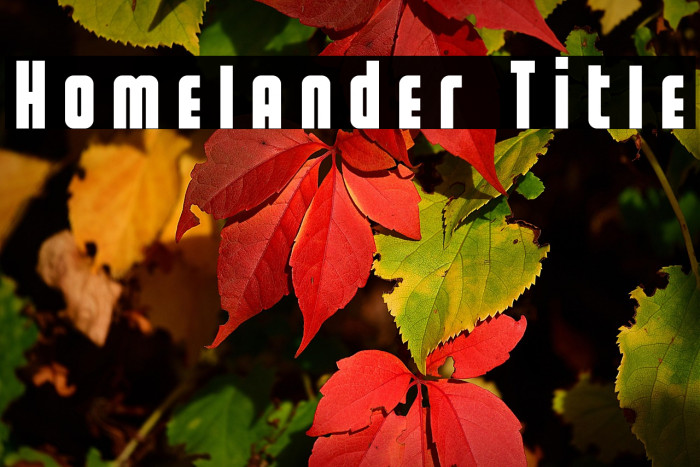Homelander Title Example 1