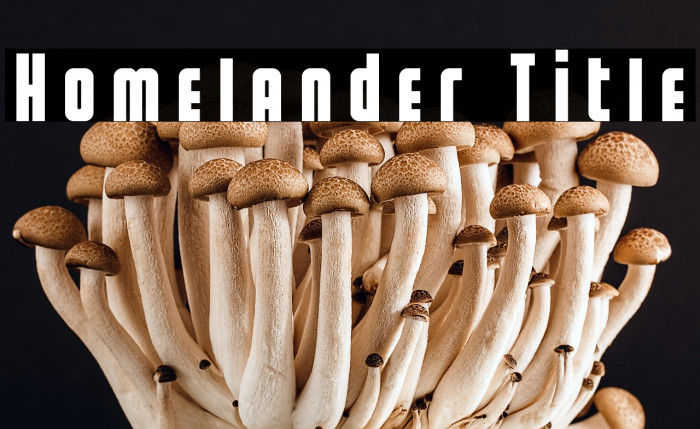 Homelander Title Example 2