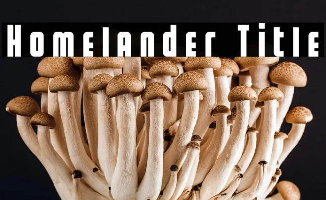 Homelander Title Example 2