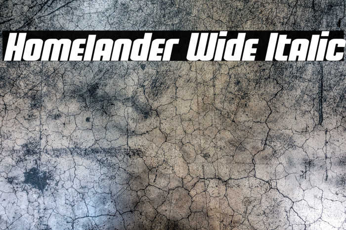 Homelander Wide Italic Example 2