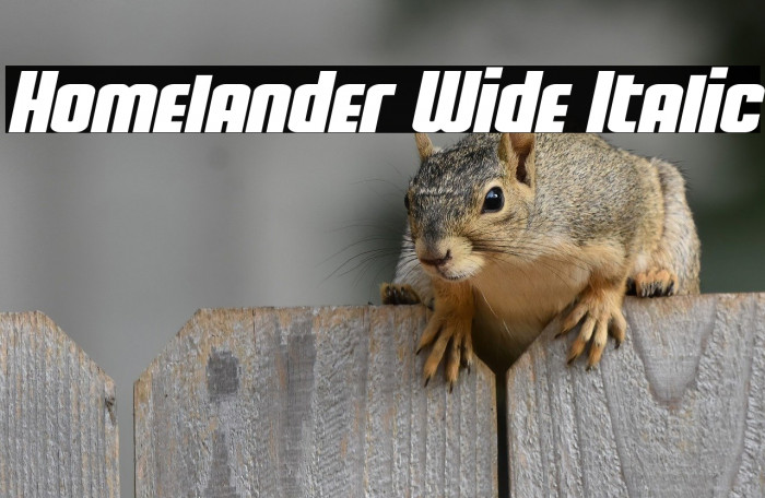 Homelander Wide Italic Example 3