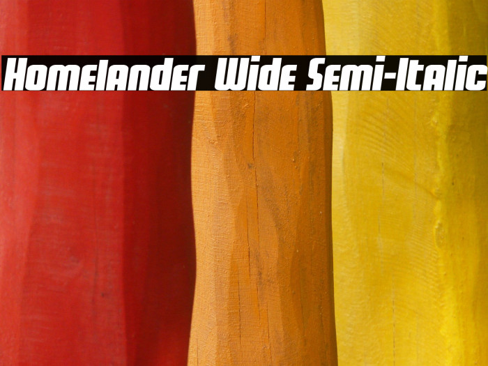 Homelander Wide Semi-Italic Example 3