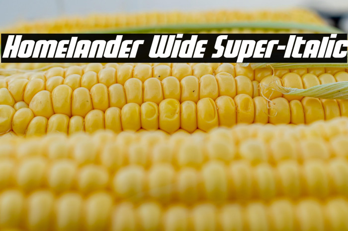 Homelander Wide Super-Italic Example 3