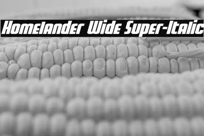 Homelander Wide Super-Italic Font examples