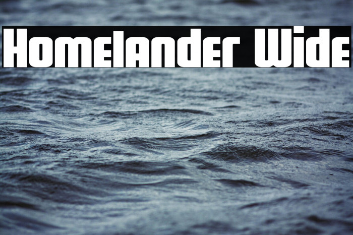 Homelander Wide Example 1