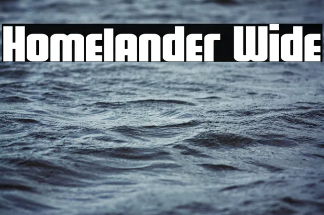 Homelander Wide Example 1
