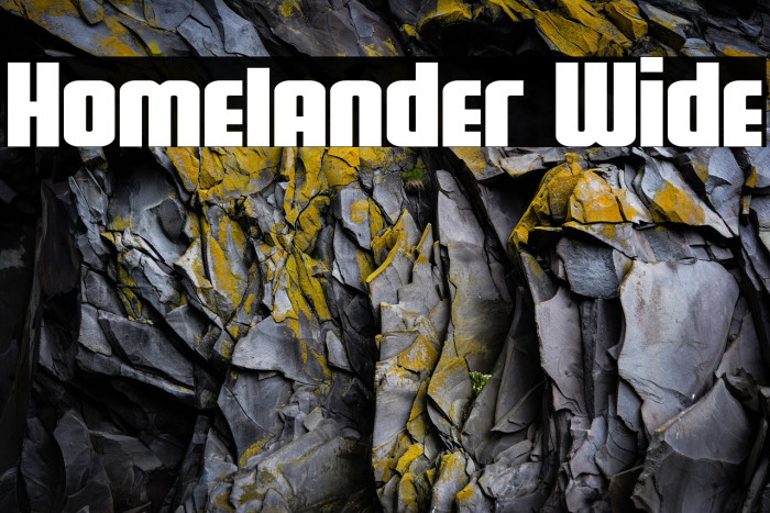 Homelander Wide Example 2