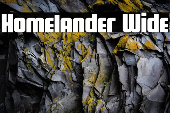 Homelander Wide Example 2
