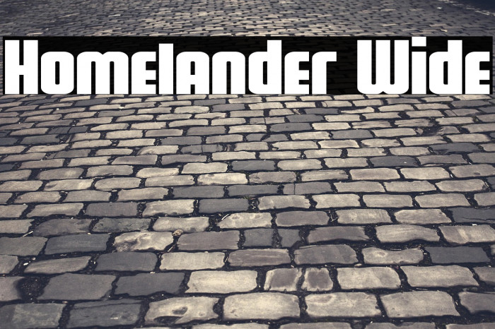 Homelander Wide Example 3