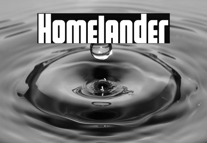 Homelander Example 1