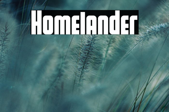 Homelander Example 2