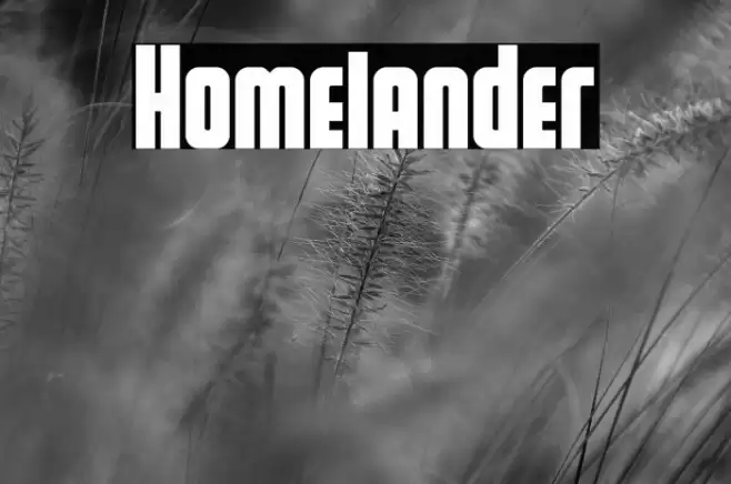 Homelander Font examples